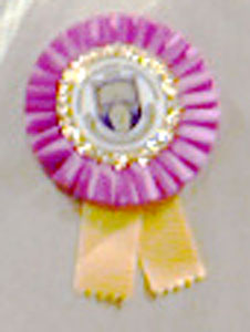 badge badge